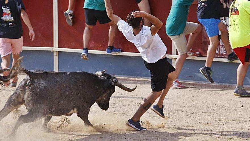 Un jove esquiva la banya d&#039;un toro durant els correbous de Vidreres del 2016 |