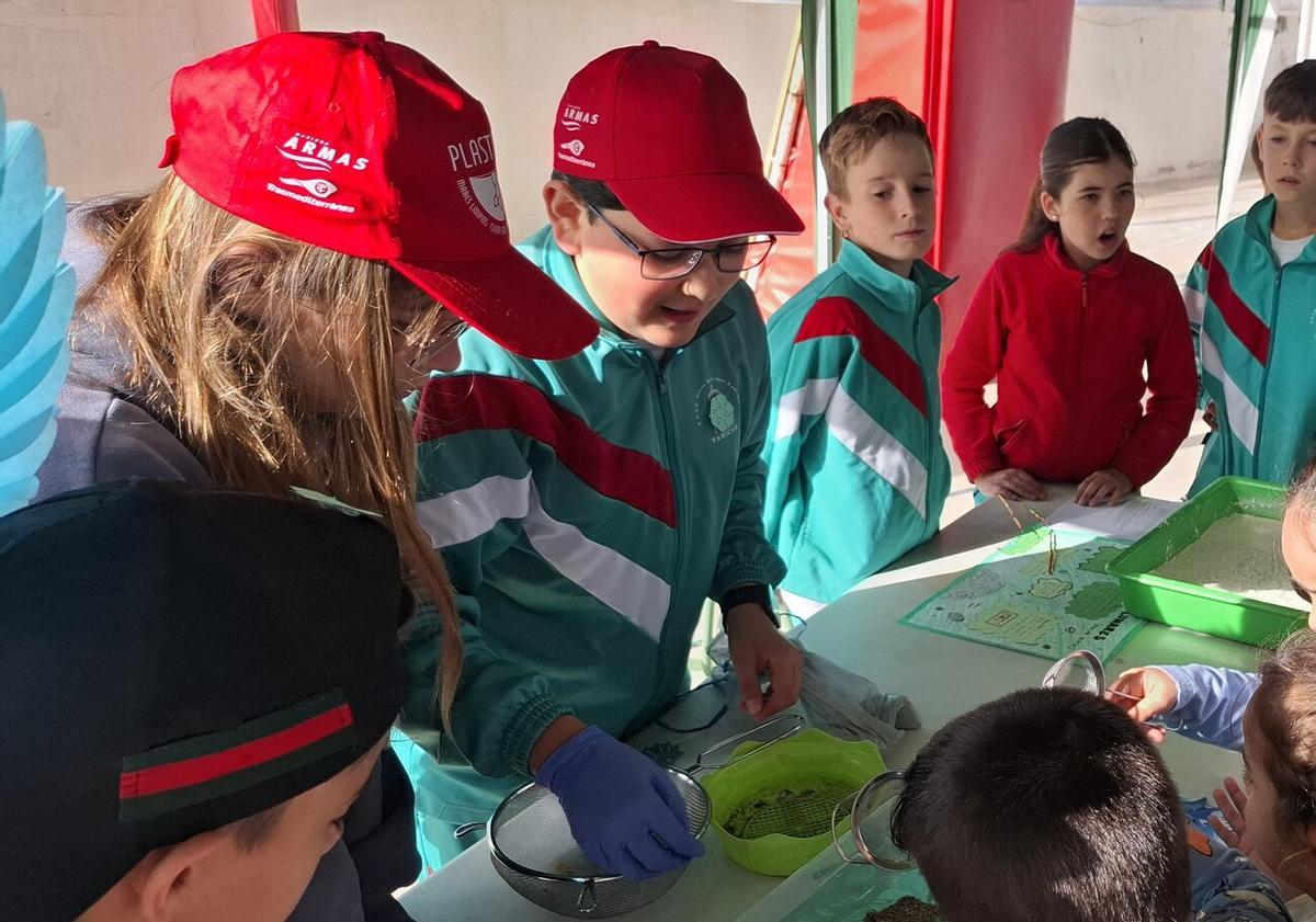 Científicos escolares implicados en la Apañada de la Ciencia en el CEIP César Manrique Cabrera, en Tahíche Científicos escolares implicados en la Apañada de la Ciencia en el CEIP César Manrique Cabrera, en Tahíche