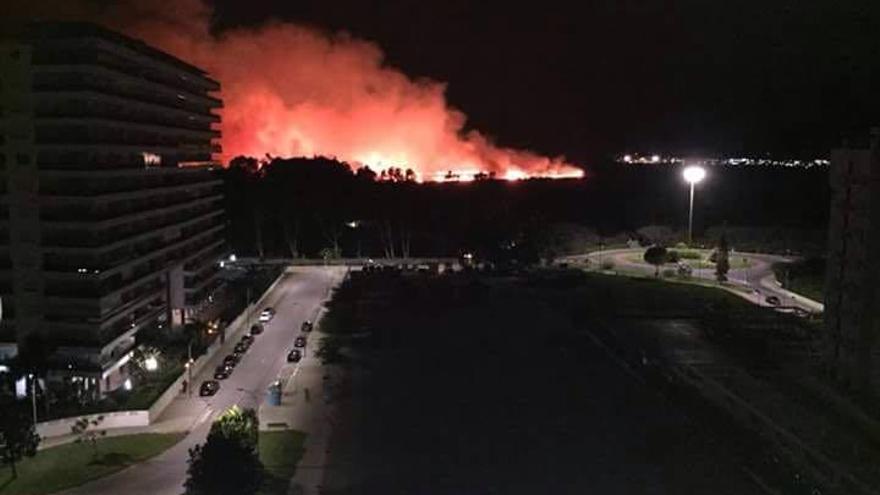 Un incendio quema el marjal de la Safor en Xeresa