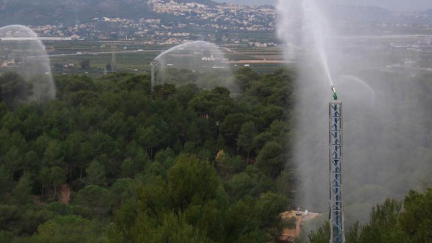 Torrent reforestará el Vedat con 400 árboles para revitalizar un área de pinos de 140 años