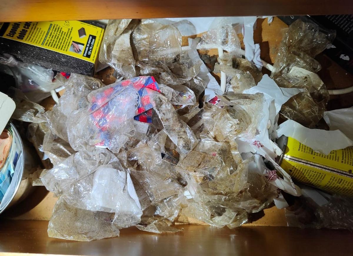 Bolsas con resto de estupefacientes halladas en el domicilio de Melide
