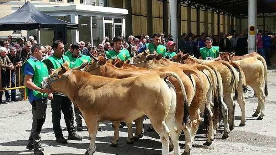 Vegadeo premia a sus deportistas en una feria de &quot;poca venta&quot;