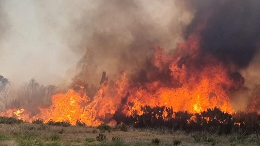 El Parque Natural de Túria ha sufrido medio centenar de incendios en diez años