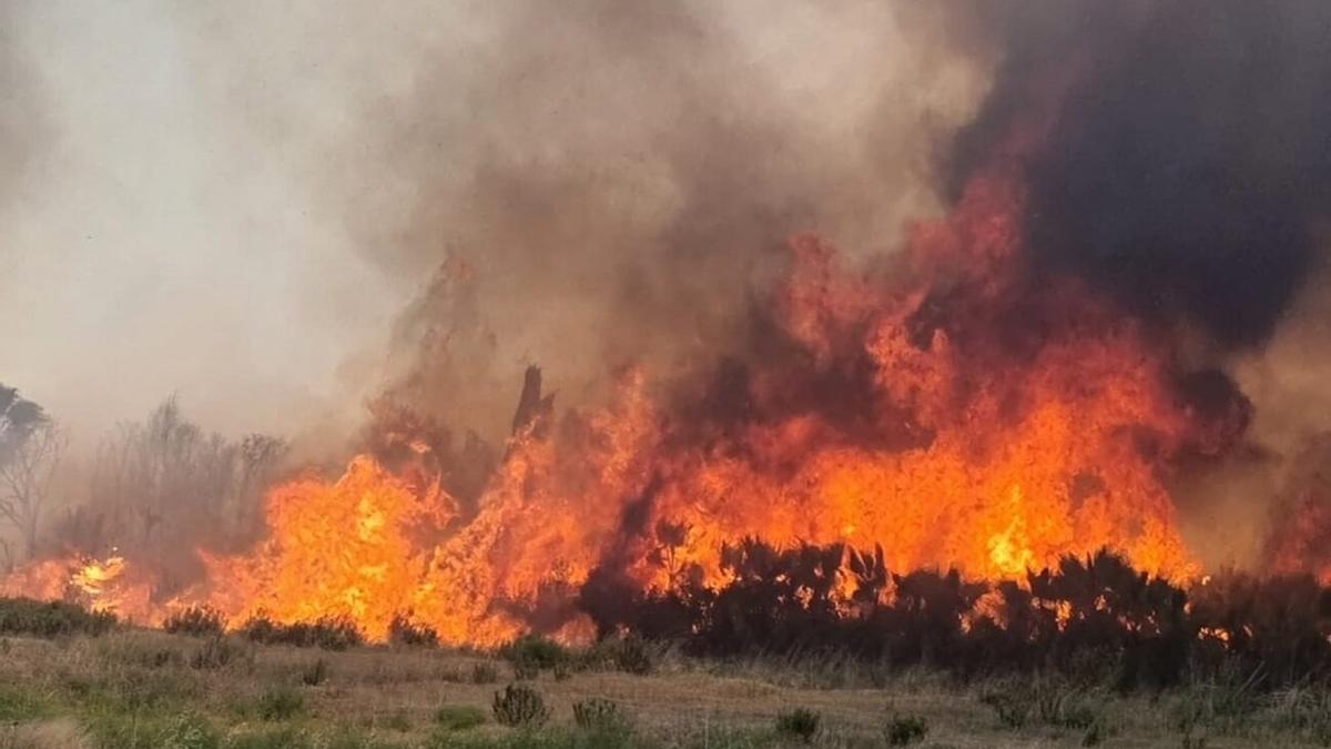 Incendio en el Parque Natural de Túria en Riba-roja, ayer.