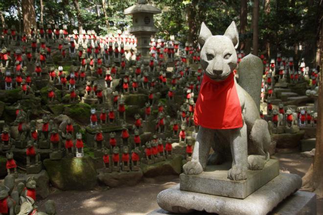 Santuario Taikodani Inari jinja, goshuin, Japón