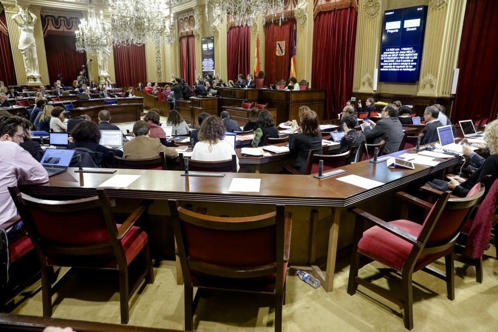 Pleno del Parlament del 1 de febrero