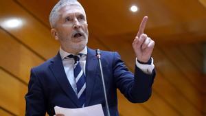 Fernando Grande-Marlaska durante la sesión de control al Gobierno en el Senado.