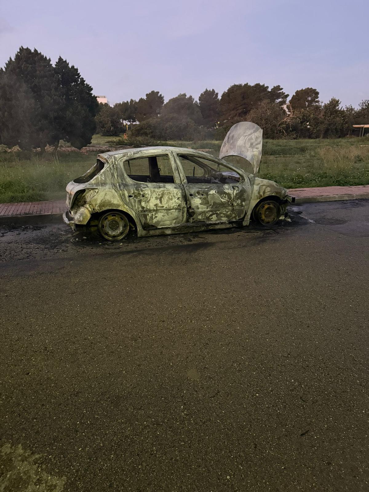 El coche estaba aparcado en la calle
