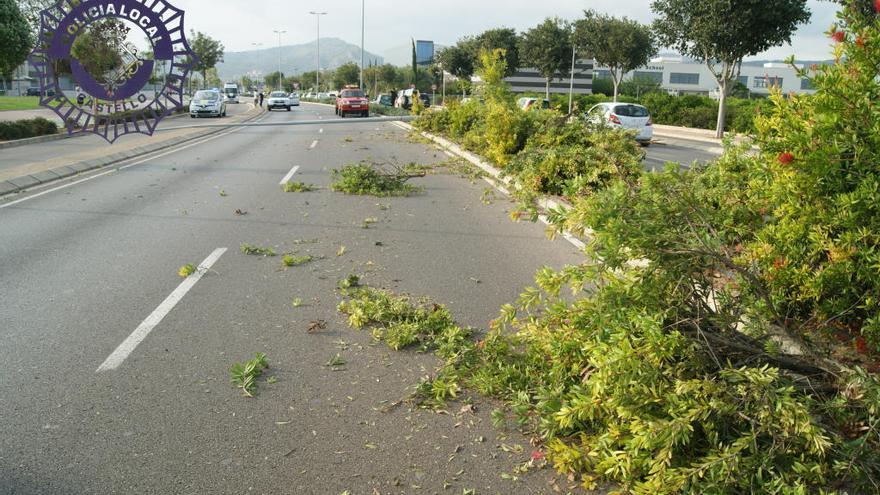 Escenario del accidente tras la colisión