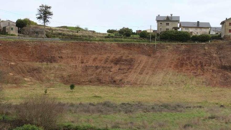 La finca, ya desbrozada.