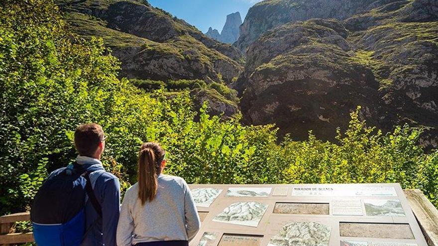 Esta es la cantidad que el Principado concede este año en ayudas para el desarrollo del entorno del parque nacional de los Picos de Europa