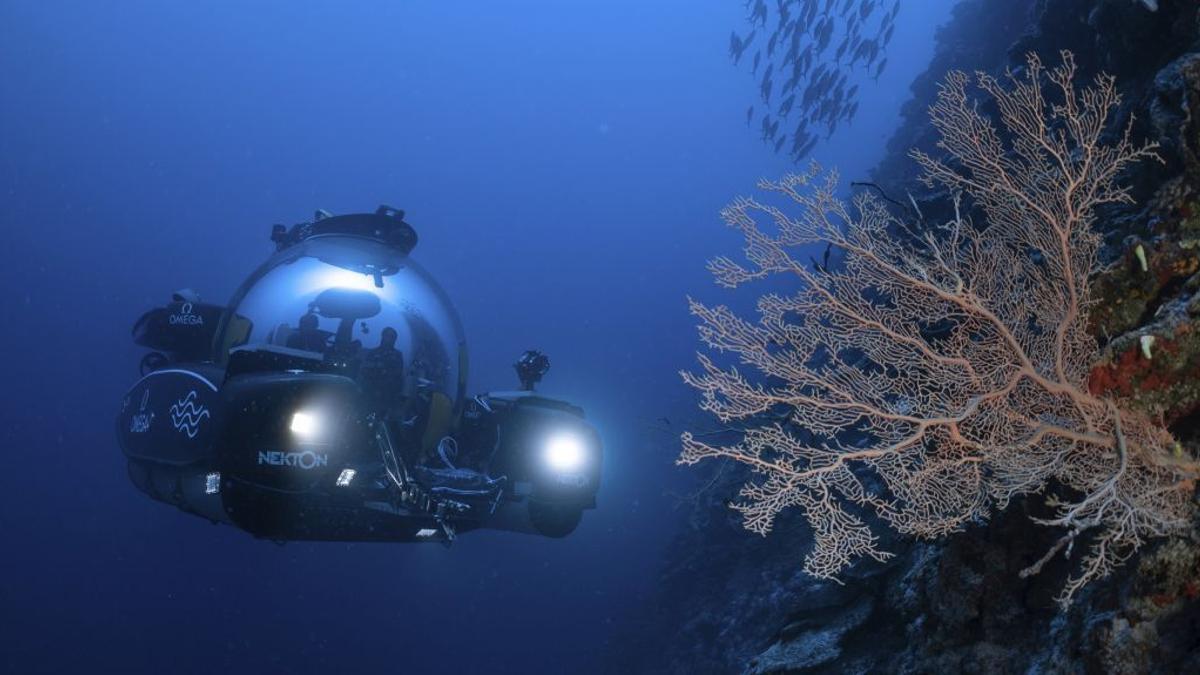 Vista submarina del área estudiada por la Misión Nekton Maldives.