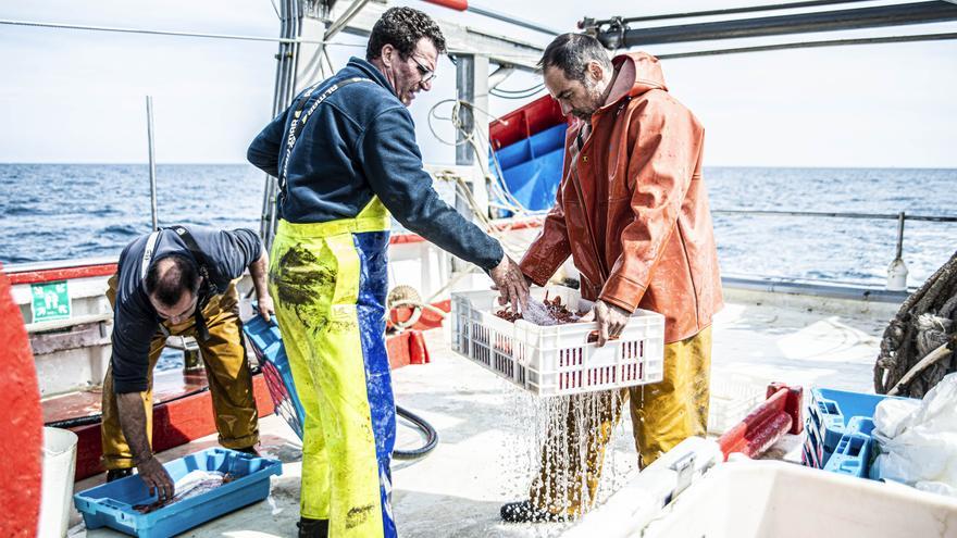 Palamós, l’epicentre de la pesca sostenible