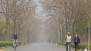 Archivo -  En la imagen paseantes y deportistas por el Parque de María Luisa, en Sevilla, en un día de niebla.