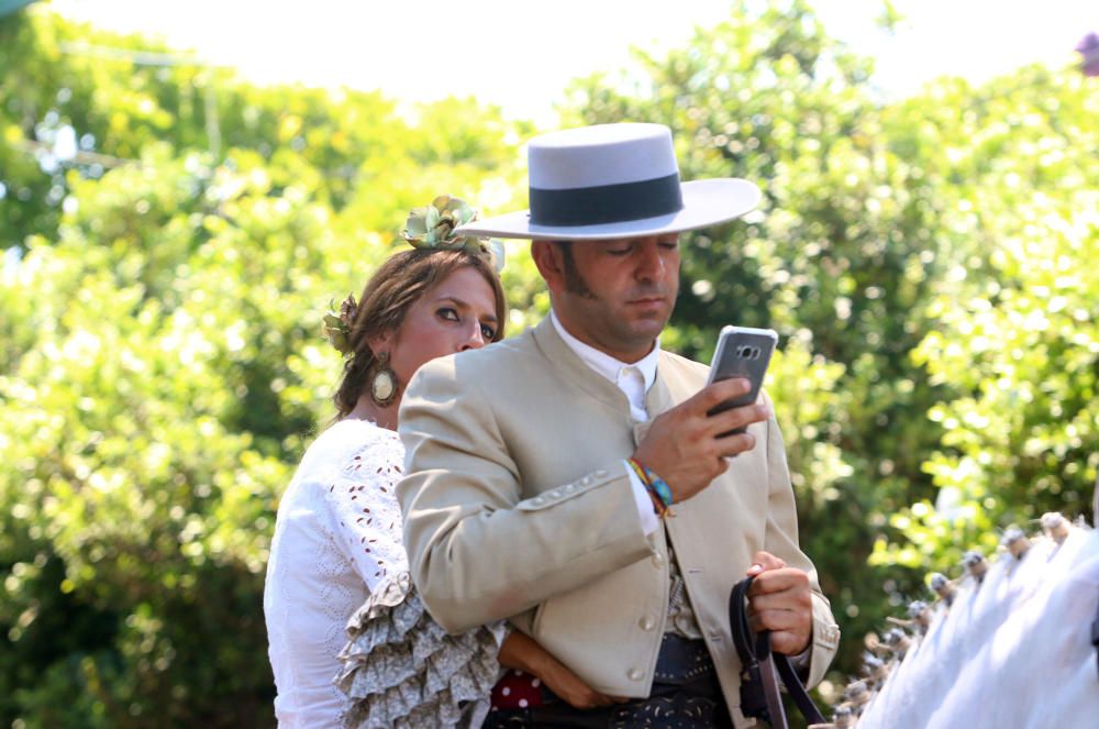 Domingo en el Cortijo de Torres.