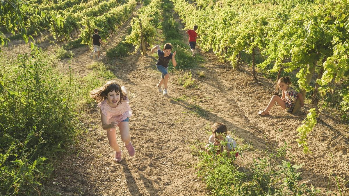 'No te lo puedes perder', Mejor Acción de Promoción de los Premios Rutas del Vino de España.