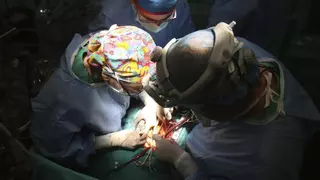 La Arrixaca prepara un ensayo clínico para trasplantar hígados de cerdo a tres pacientes