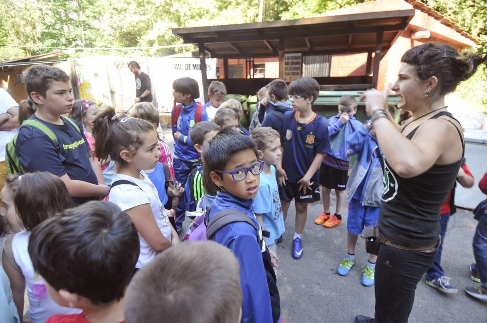 Visita de escolares a la protectora 'El Trasgu' en Mieres