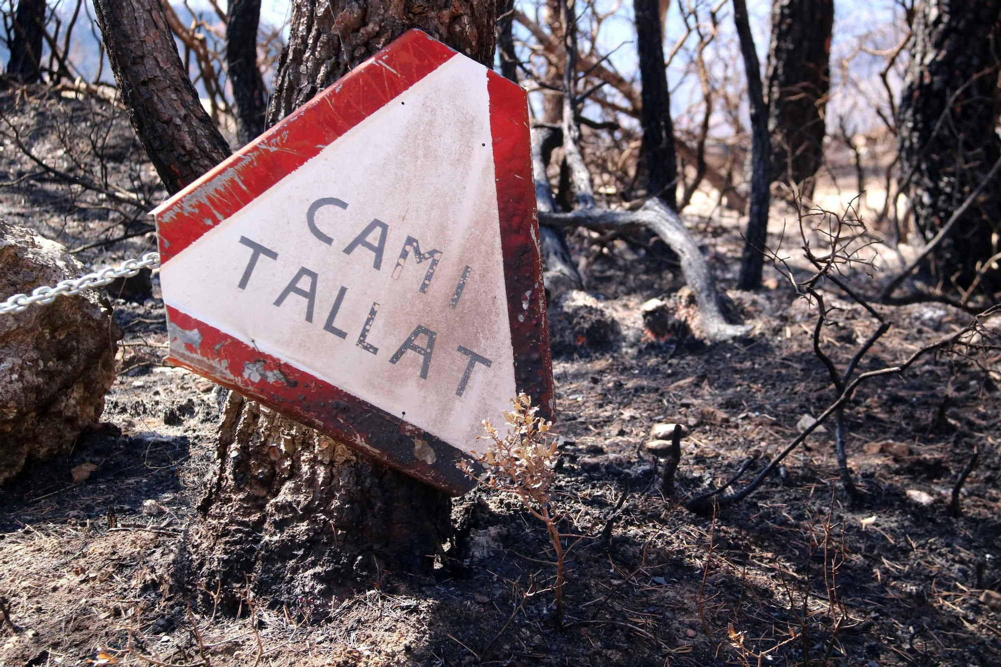 Les fotos de l'incendi de Paüls a vista de dron