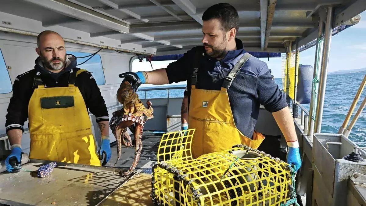 Pescadores asturianos de pulpo en plena faena