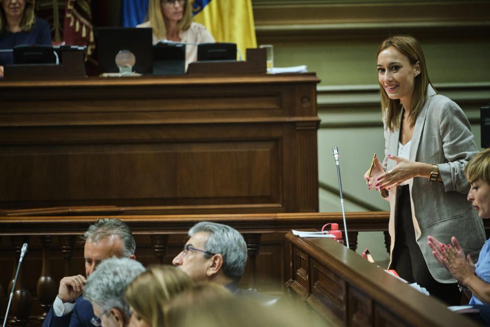 Torres, ante el pleno del Parlamento