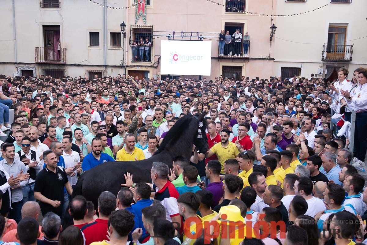 Así ha sido la entrega de premios del concurso morfológico de los Caballos del Vino de Caravaca