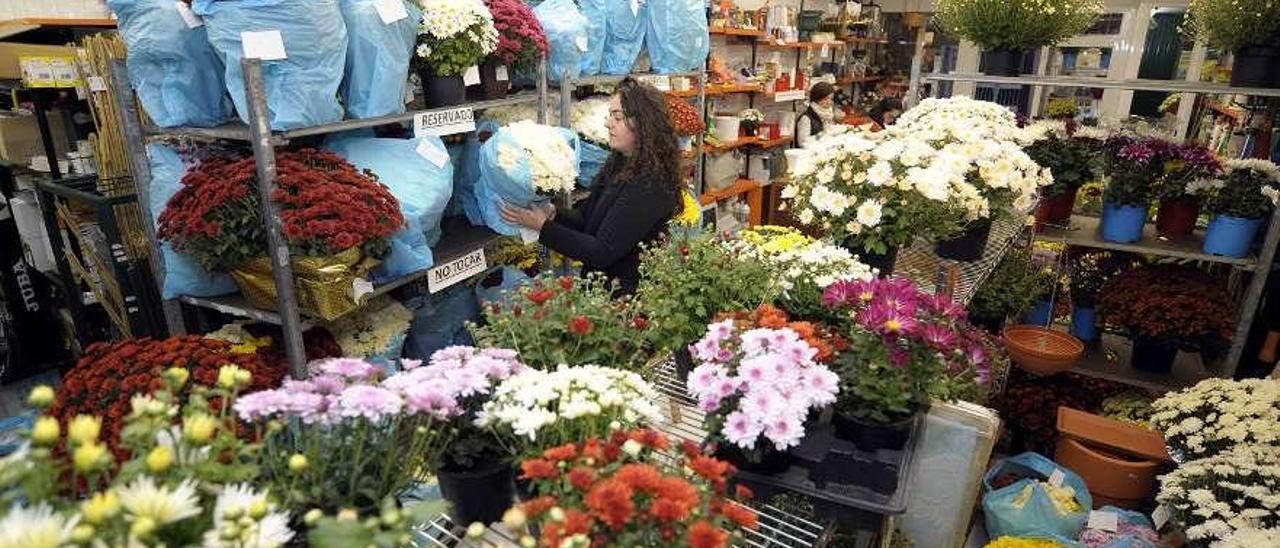Una tienda de Lalín que comercializa plantas y flores de sus propios viveros. // Bernabé/Javier Lalín