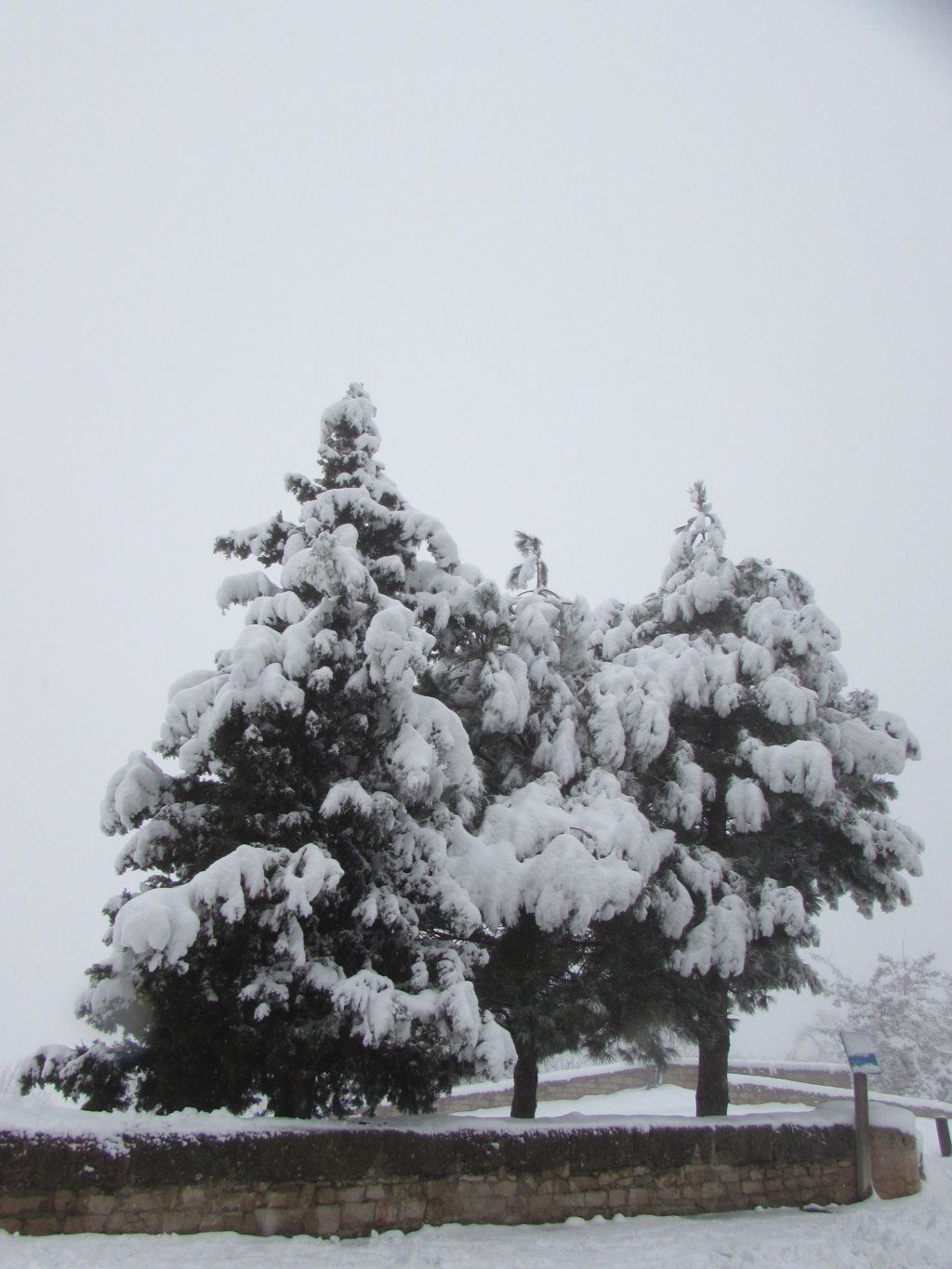 La nieve cubre Morella de blanco