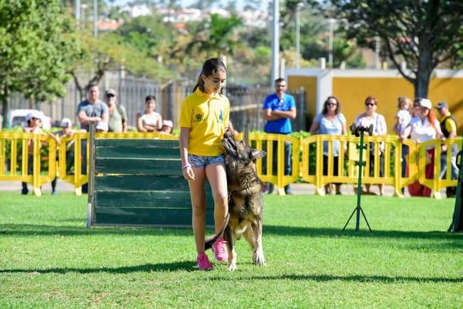 10/12/2016 MASPALOMAS. Feria de Mascotas Maspalomas 2016.Foto: SABRINA CEBALLOS