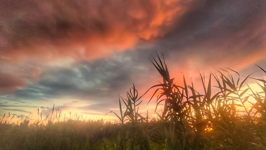 Vuelve el sol y el calor a la Comunitat Valenciana pero con nubes en el