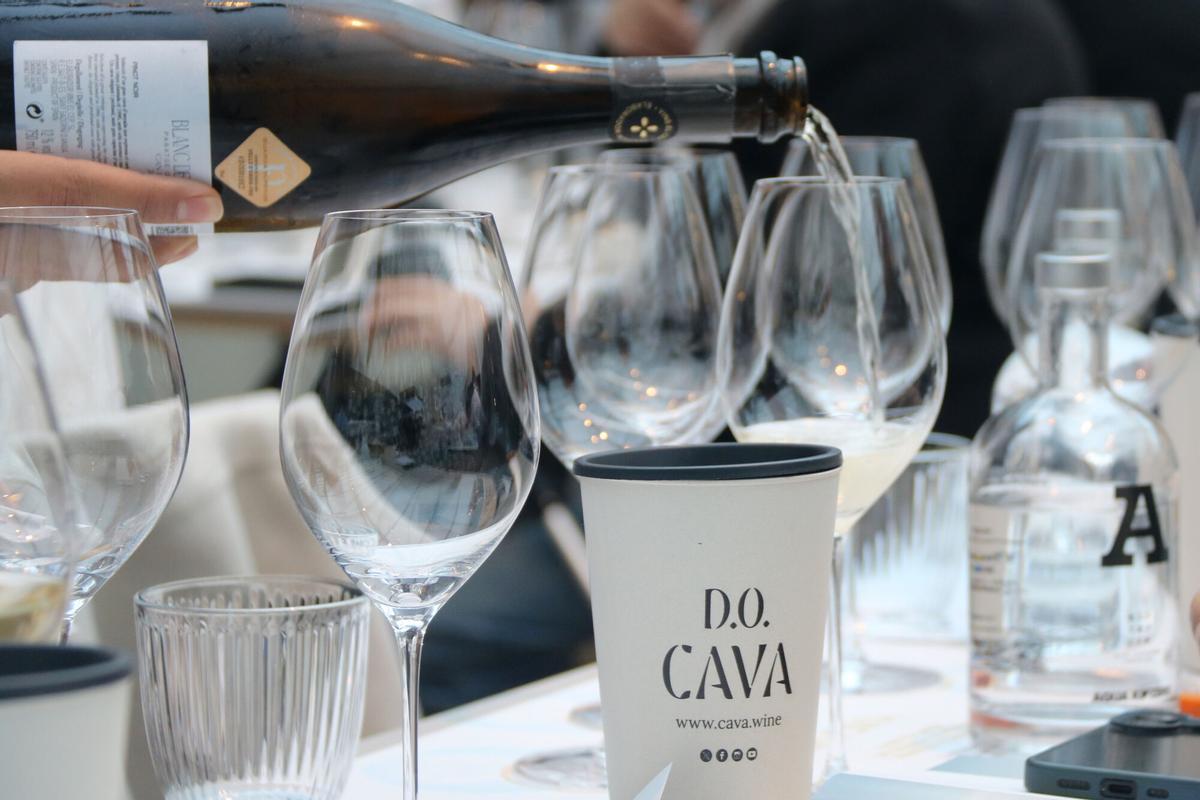 La verema de cava del 2026 generarà 100 milions d’euros per als viticultors catalans