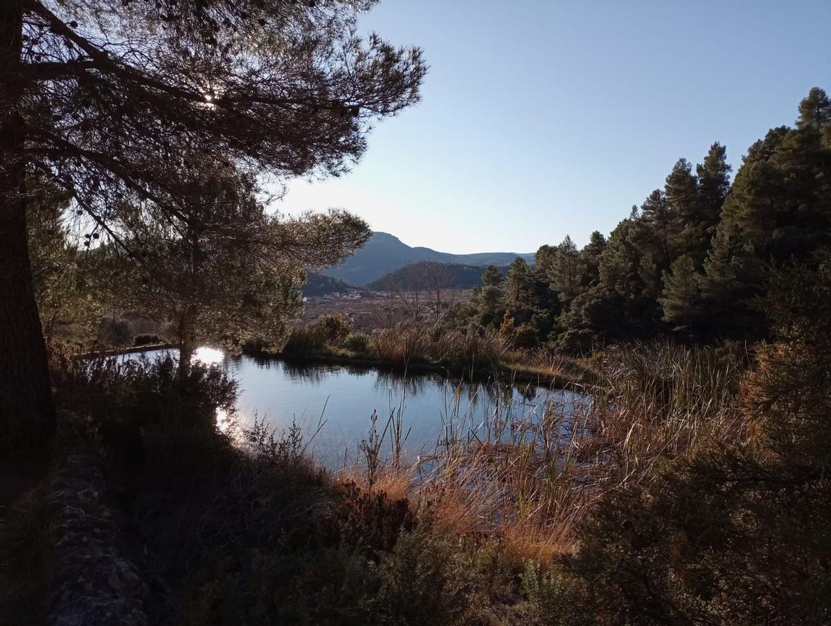 La primera edición de esta Feria de Montaña nace con el objetivo de divulgar y fomentar los recursos culturales, naturales y deportivos de Chera y los entornos rurales.