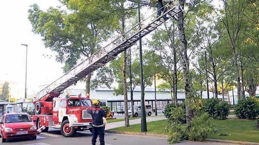 El fuerte viento causa caídas de losetas y señales en la comarca