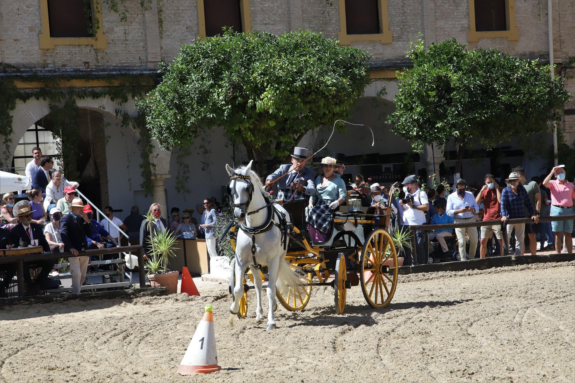 El atalaje de tradición regresa a España