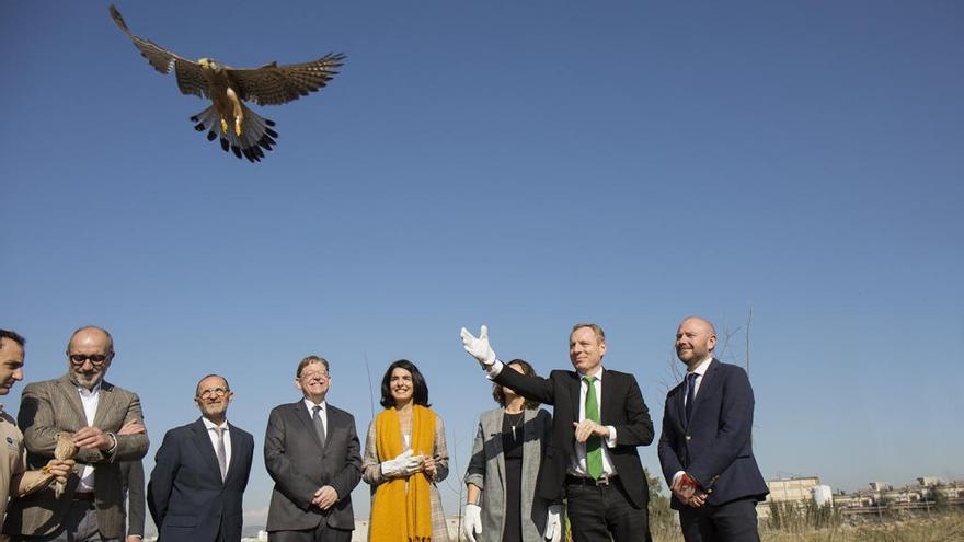 Las autoridades y los directivos de Heineken España estuvieron presentes durante la liberación de tres cernícalos en el Barranco del Poyo.