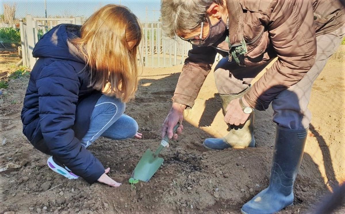 Avis i estudiants de Cornellà, junts en un programa per desenvolupar l’educació alimentària