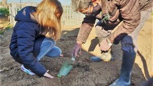 Abuelos y estudiantes de Cornellà, juntos en un programa sobre la educación alimentaria.