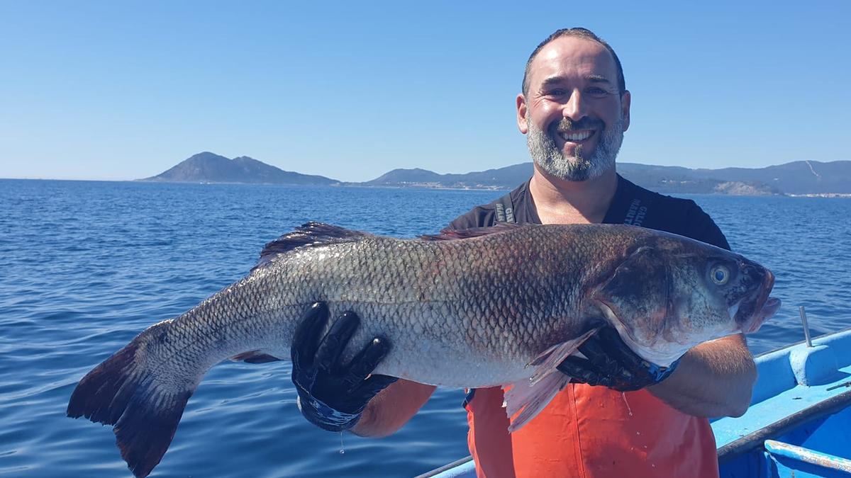 Rogelio Santos, cun robalo de sete kilos capturado na ría de Muros e de Noia en setembro