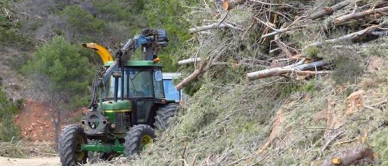 El Plan de Desarrollo Rural europeo sale al rescate de la Generalitat Valenciana