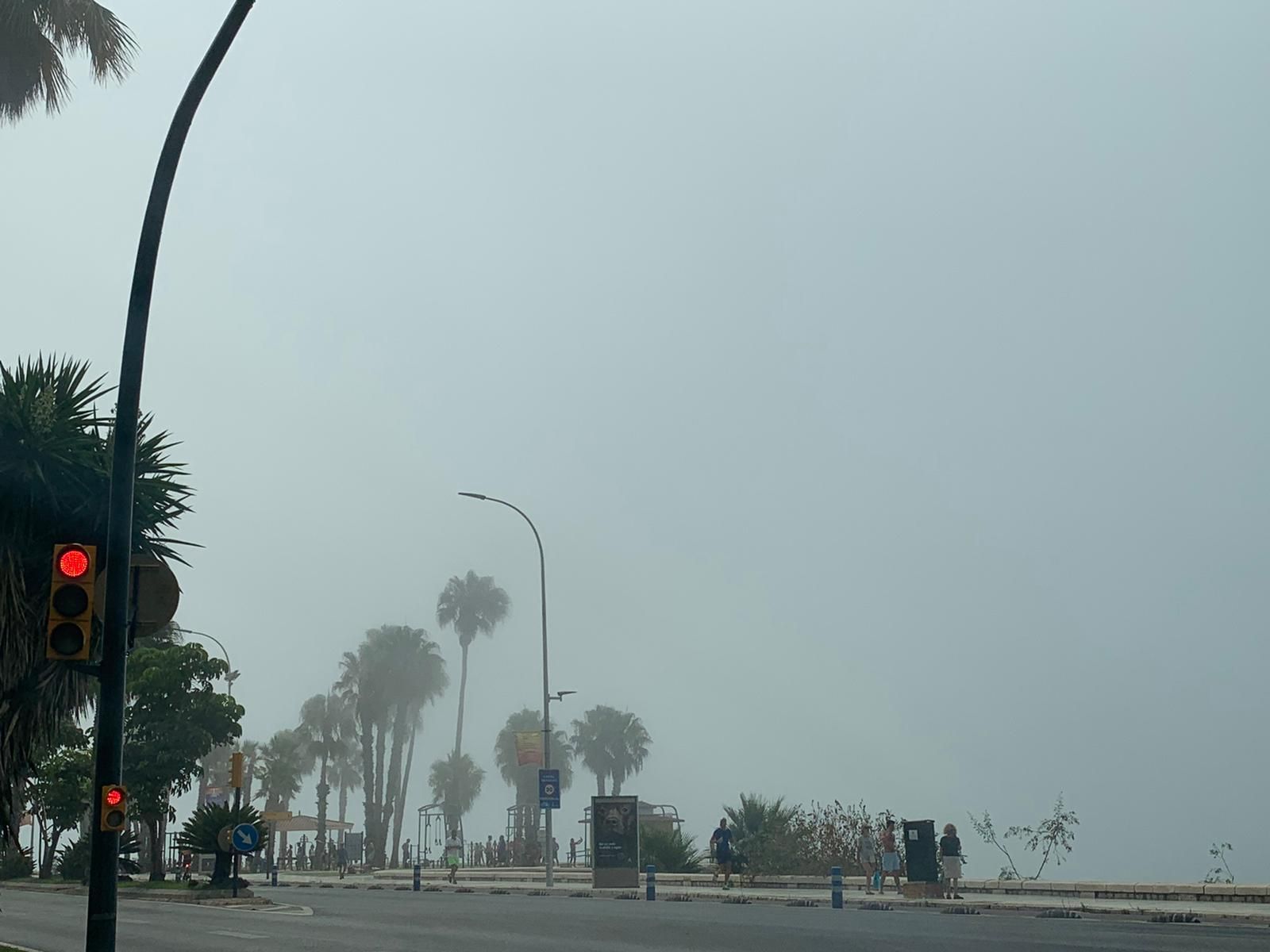 Domingo de taró en el litoral malagueño