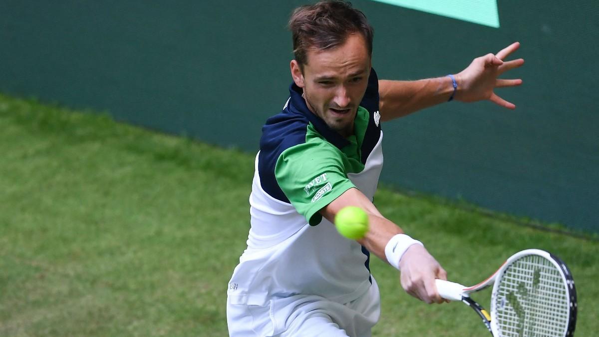 Medvedev, durante el partido contra Ivashka en Halle