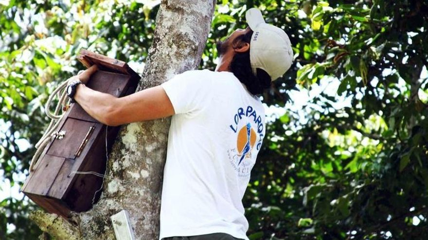 Loro Parque will allocate 1.3 million euros to conservation projects in 2022