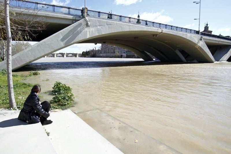 Fotogalería: Crecida del Ebro