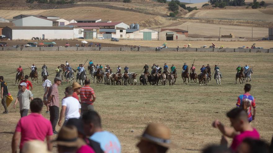 Fiestas con final taurino en Fuentesaúco