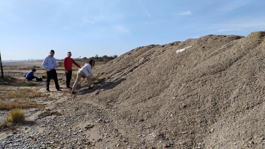 Voluntarios franceses, plantando especies en la arena depositada para formar nuevas dunas.