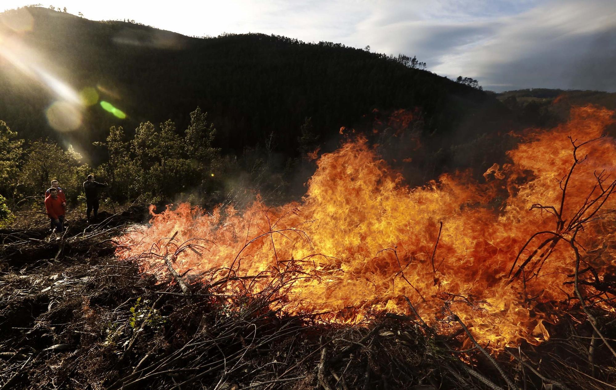 Un incendio cerca de Oviedo.