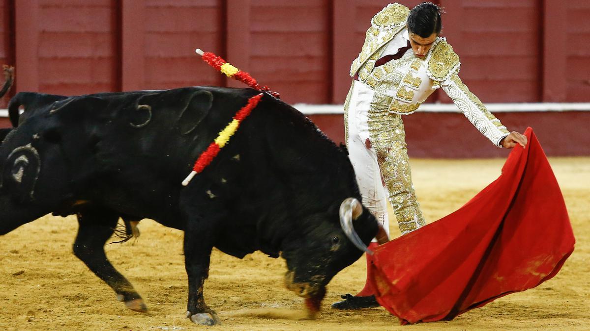 Ángel Téllez, con su segundo toro este lunes en La Malagueta.