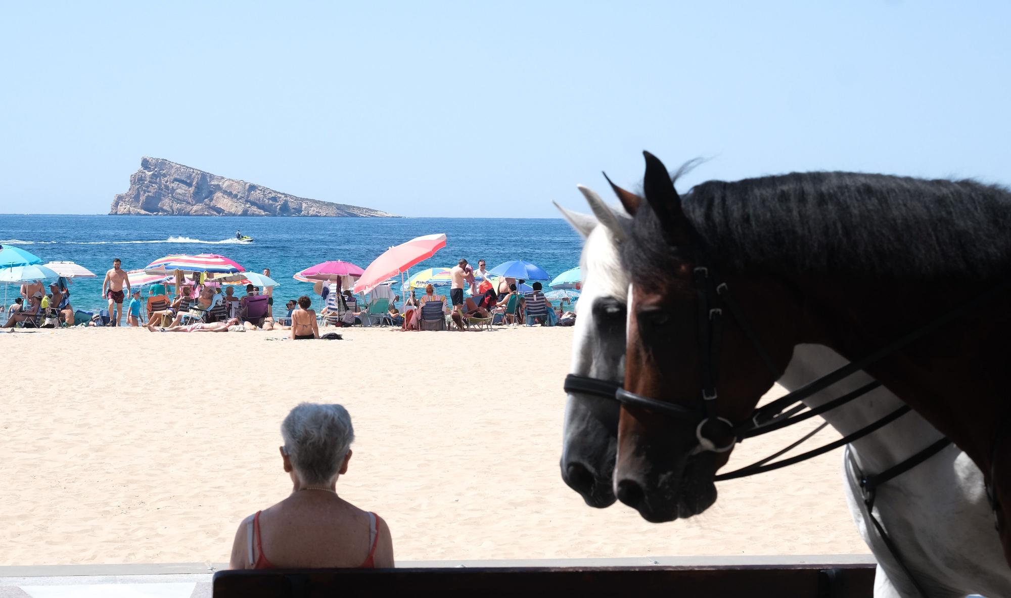 Así ha sido la exposición de medios de la Policía Nacional en Benidorm