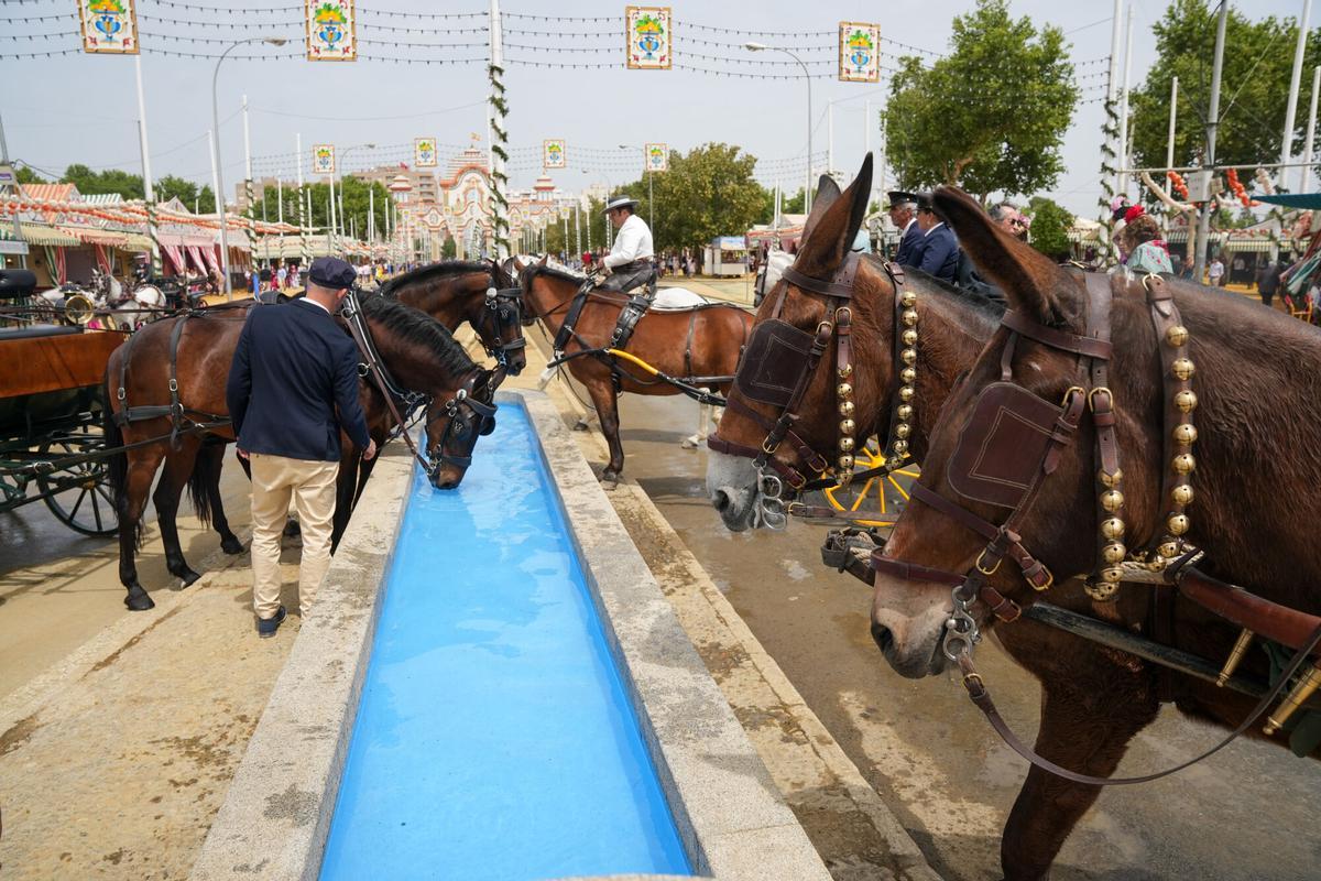 Las mejores imágenes del Jueves de Feria