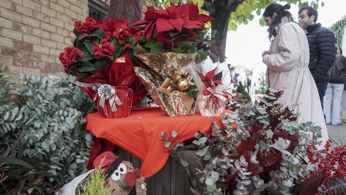 La segona Fira de Nadal de Viladordis, en imatges